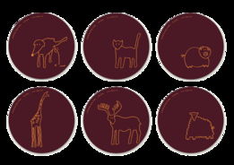 Atipus平面設計與軟件開發(fā)的跨界融合